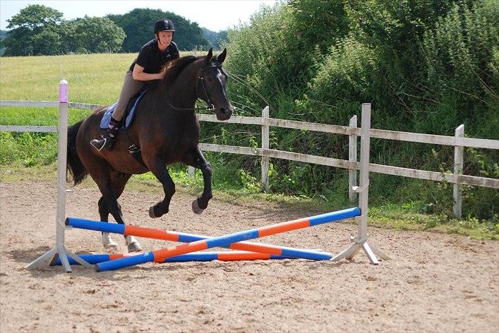 Oldenborg Hercules - Vores første spring nogensinde juli 2011 billede 4