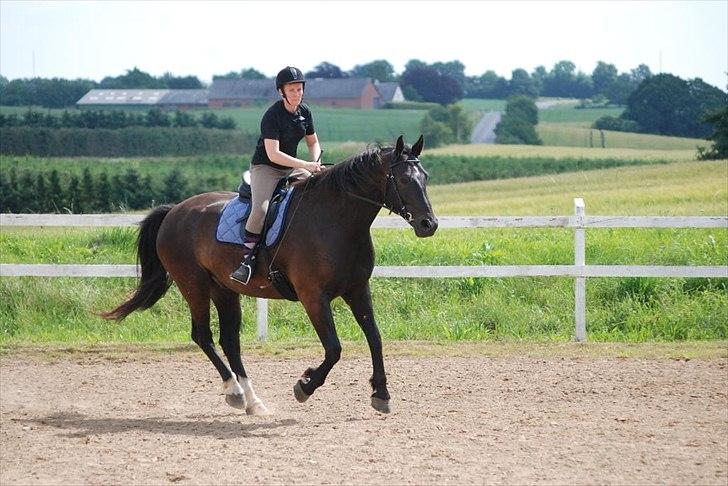 Oldenborg Hercules billede 5