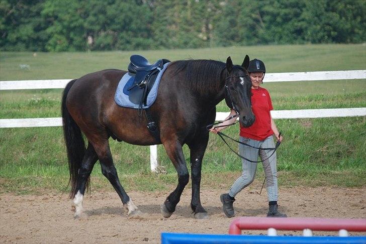 Oldenborg Hercules - Vi hygger billede 6