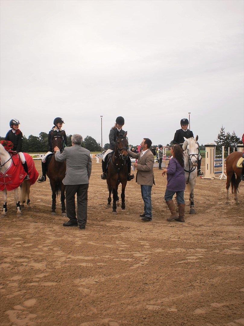 Hollandsk Sportspony | Elim - nummer 4 til distrikt mesterskaber 2011! (: billede 15