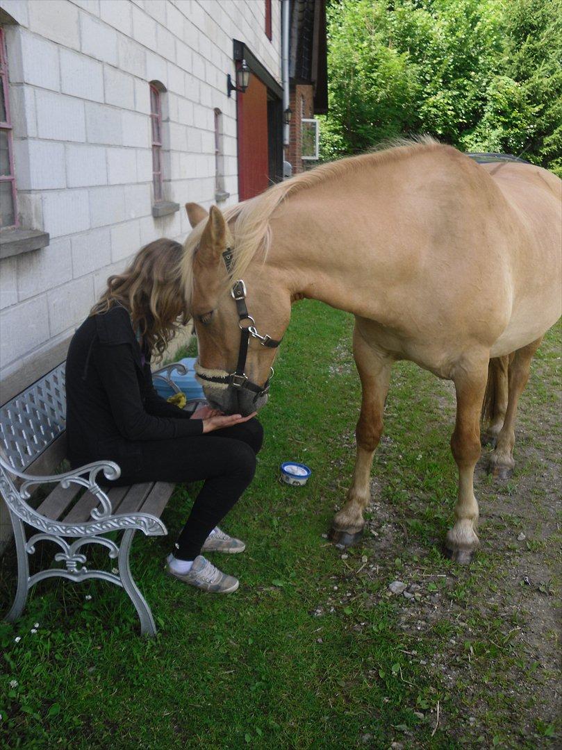 Anden særlig race Pallo - Pallo hviler mulen i mine hænder.. Elsker dig basse! <3 billede 16