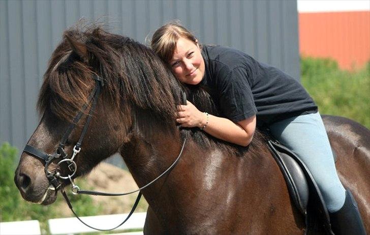 Islænder Spaði frá Úlfsstöðum billede 1