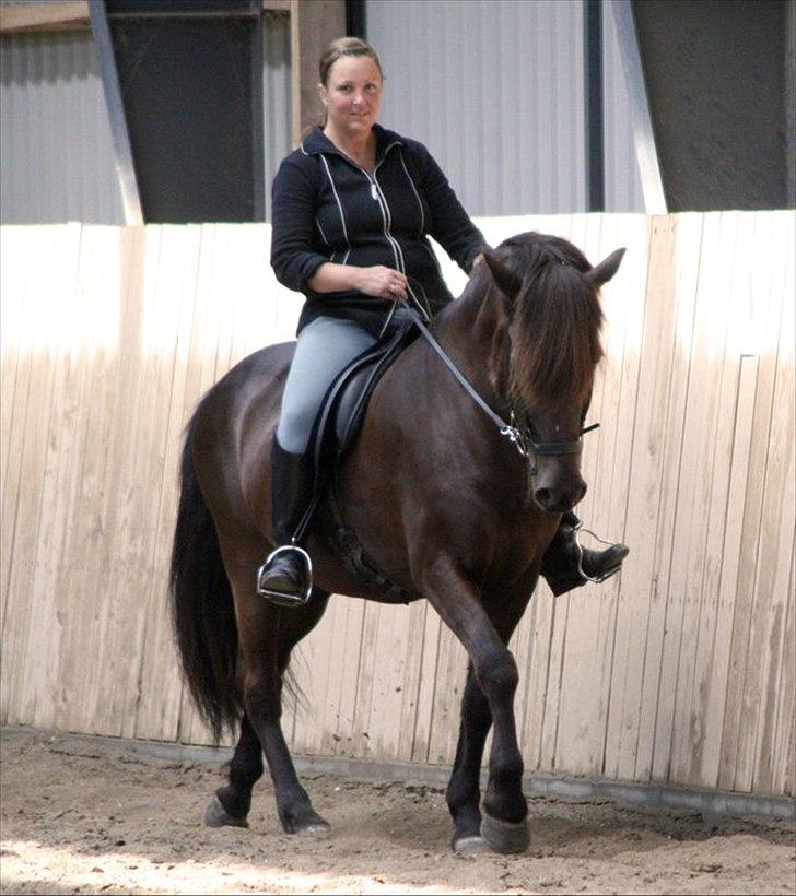 Islænder Spaði frá Úlfsstöðum - Skridt billede 8