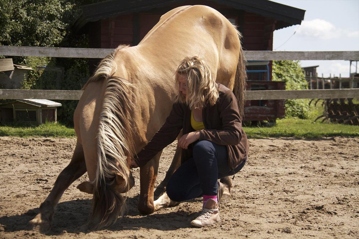 Anden særlig race Karlsbjerggårds Surprise  - Nu har hun også fået en lige balance når hun nejer :) Fotograf: Signe billede 19