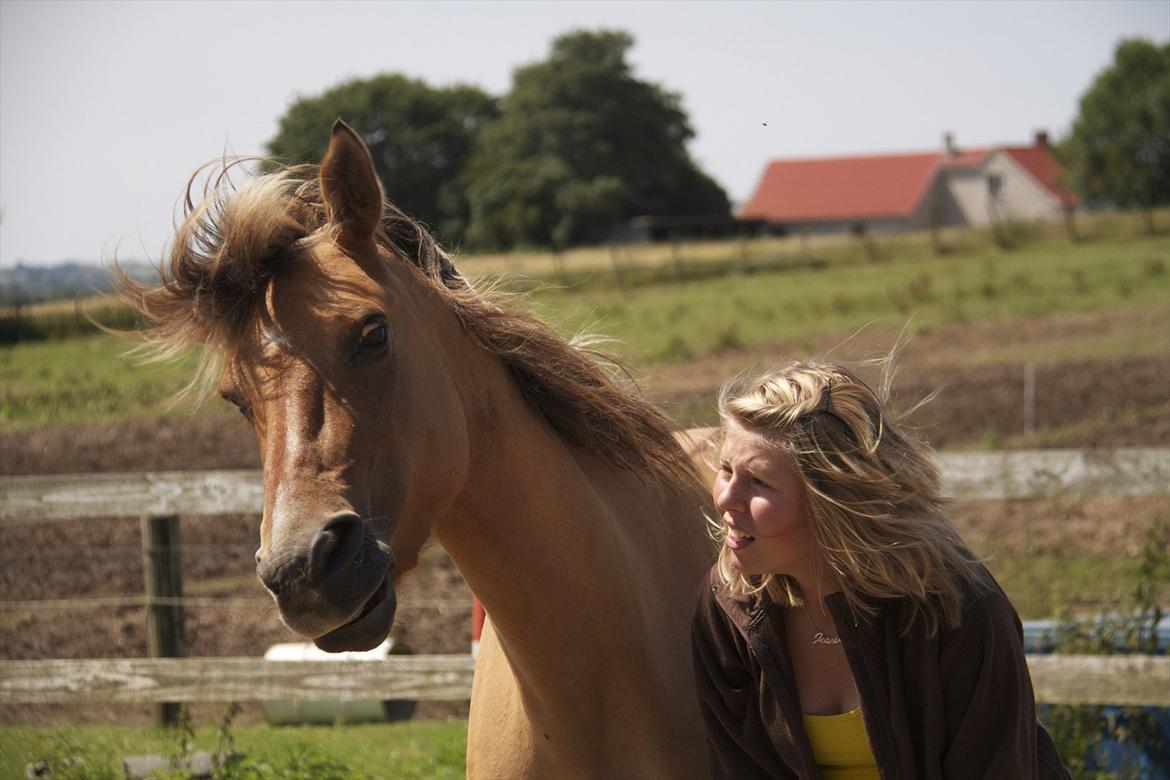 Anden særlig race Karlsbjerggårds Surprise  - Køn er du måske ikke, men jeg elsker dig! <3 - Lidt af et fail billede :D Fotograf: Signe billede 5