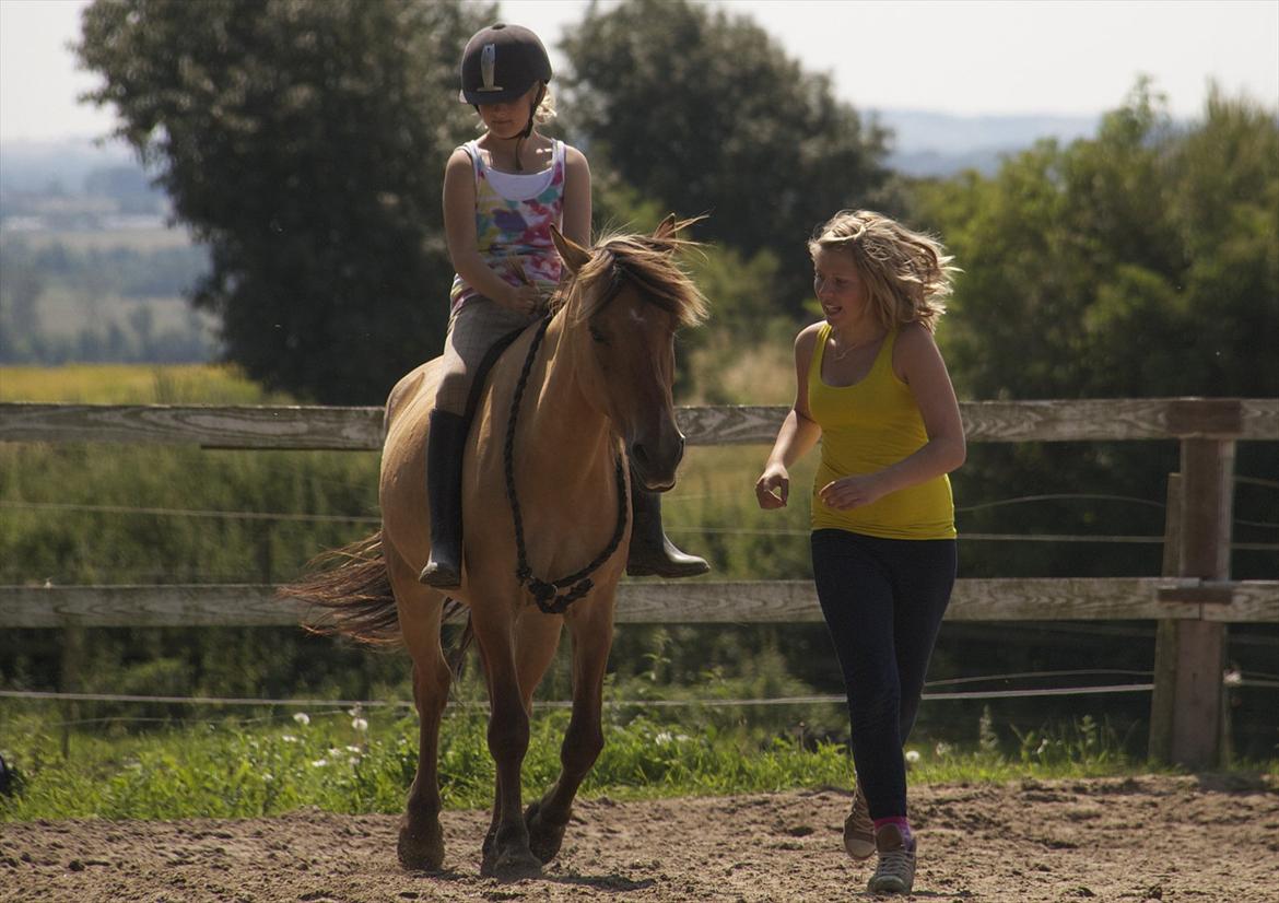 Anden særlig race Karlsbjerggårds Surprise  - Min hest er børnevenlig! :D - Man kan stadig lege med hende selvom der ikke sidder en erfaren rytter. Hun tager fint hensyn <3 Fotograf: Ann-Sofie billede 11