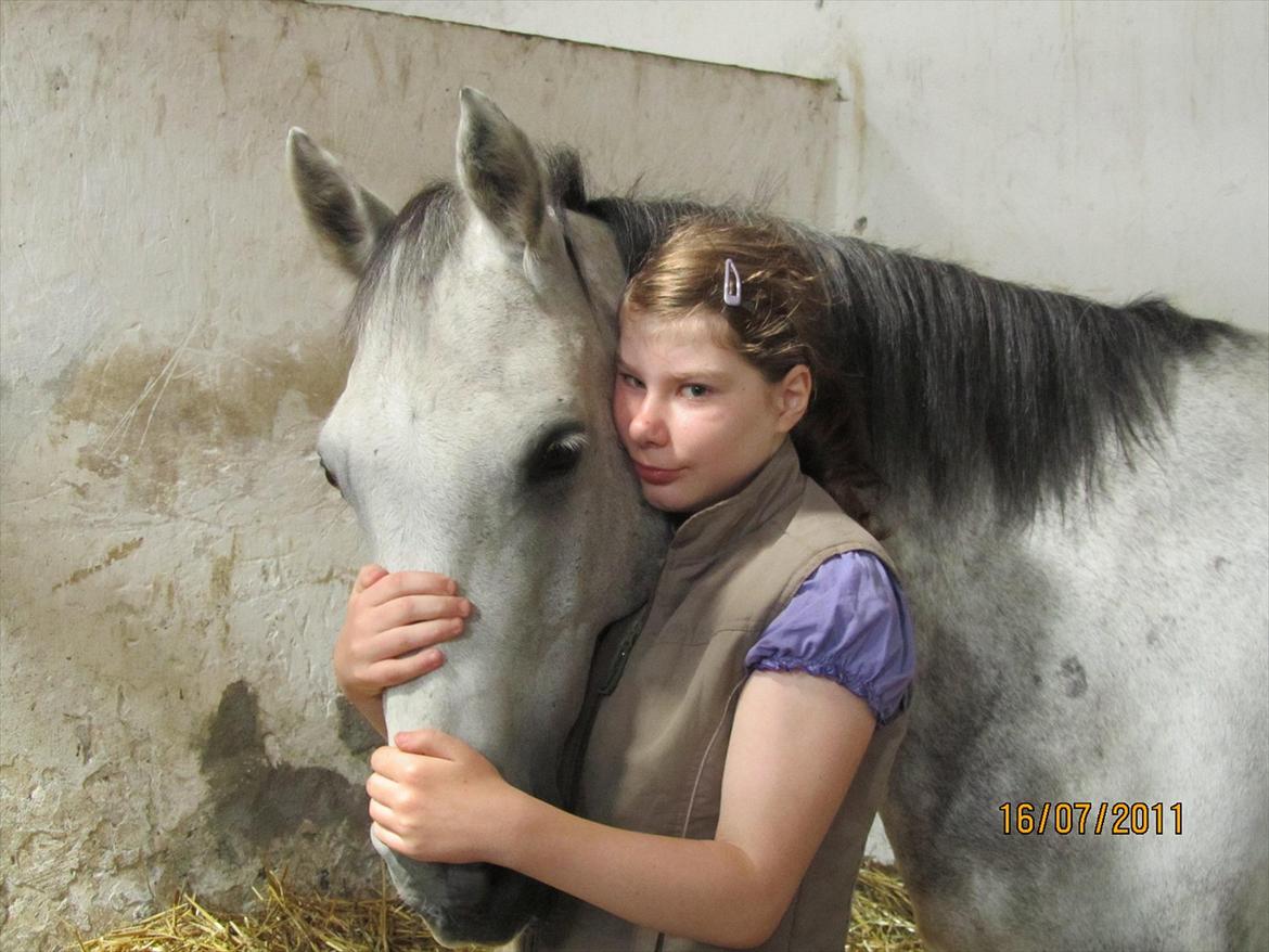 Connemara Bryanmore Boy <3 #mit et og alt# - Min bedste ven, og altid glade pony <3 billede 7