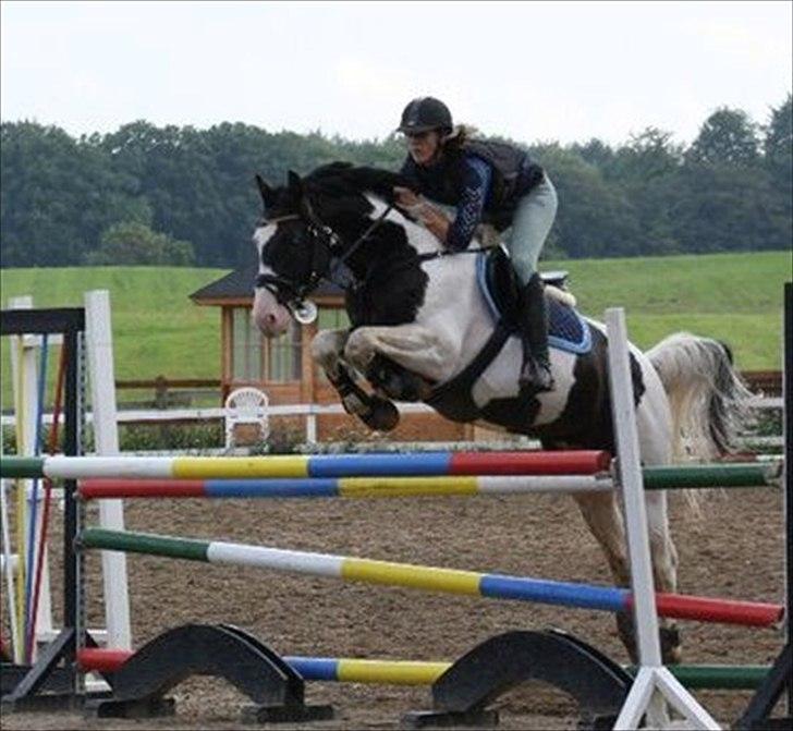 Pinto Marott's Bugatti billede 20