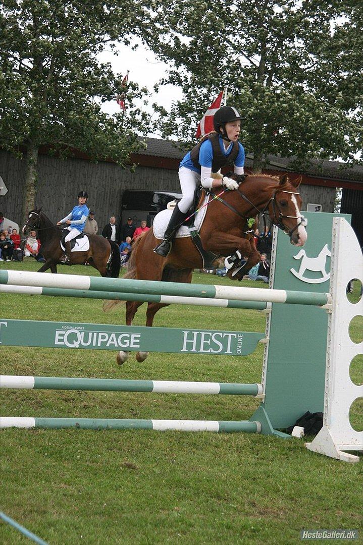 DSP Nyholms Sinatra - Landsskuet i Herning, højdesprings konkurrence, 130-2. plads (: billede 1