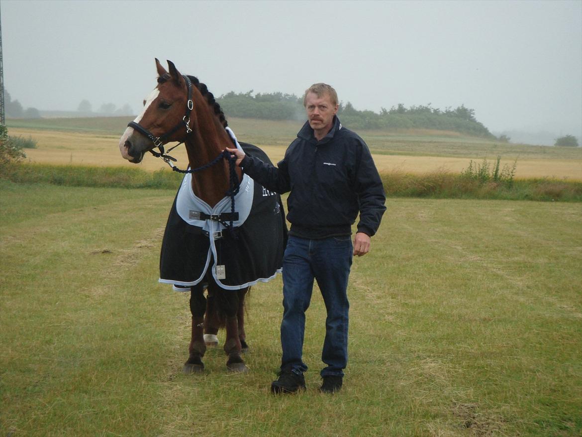 Welsh Cob (sec D) Fjordglimt Mr. Kennedy  - Smuksakken og daddy :-) billede 2