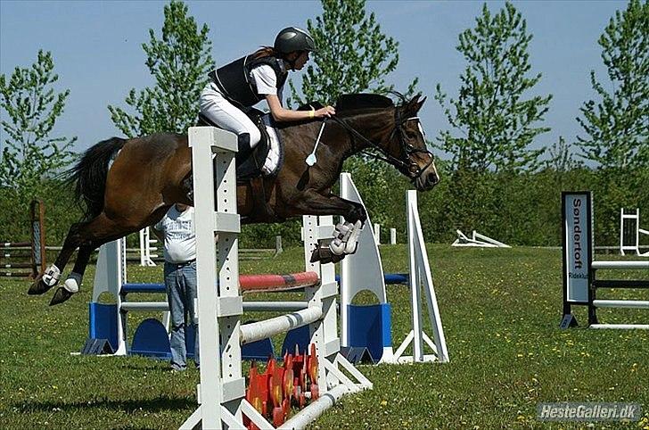Anden særlig race FlyingSuprice A-pony - søndertoft 2010 billede 6