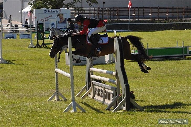 Anden særlig race FlyingSuprice A-pony - MB Morsø 2011 billede 7