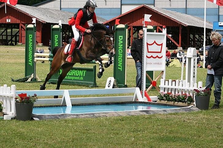 Anden særlig race FlyingSuprice A-pony - Over vandgraven til DM 2011 billede 1