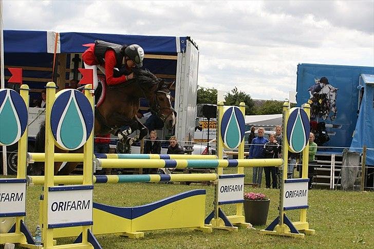 Anden særlig race FlyingSuprice A-pony - DM 2011 billede 8