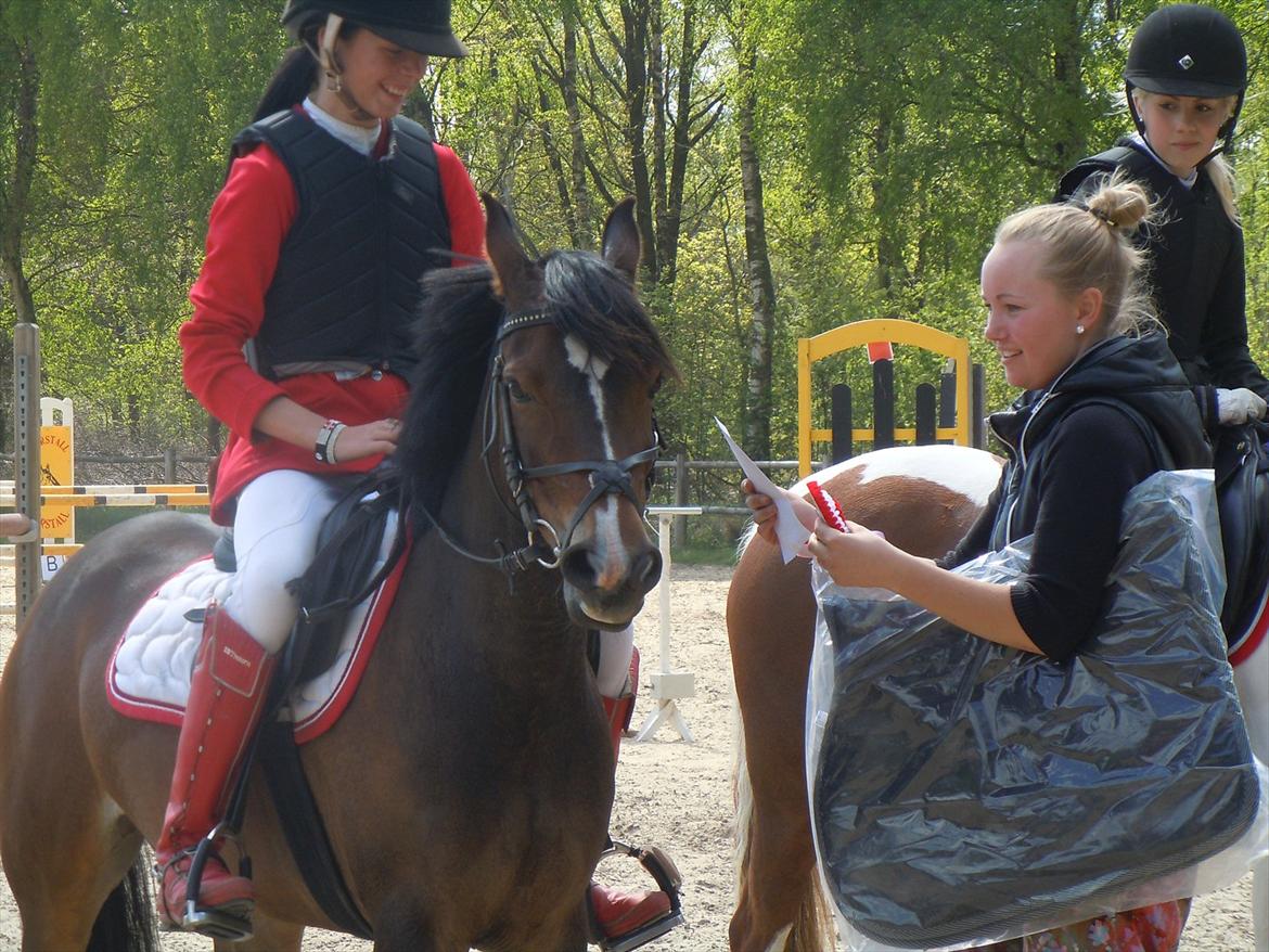 Anden særlig race FlyingSuprice A-pony - Herning 2011 1plads MB billede 9