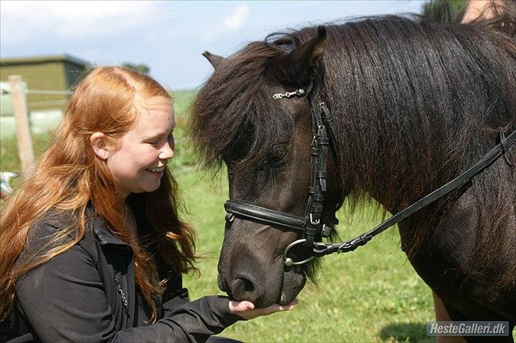 Shetlænder Robin Af Skårupøre - Mig og Robin, da vi var nede og se ham :) d. 10Juli 2011 (Lånt af Lea)  billede 9