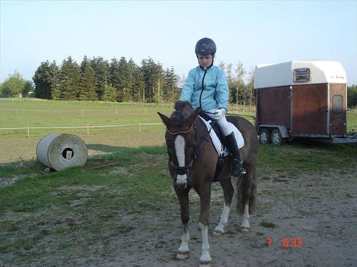 Anden særlig race cosmo de lux <3<3<3<3<3 - skal lige til at ride på opvarmnings banen i boller elsker den pony  :* :* billede 10