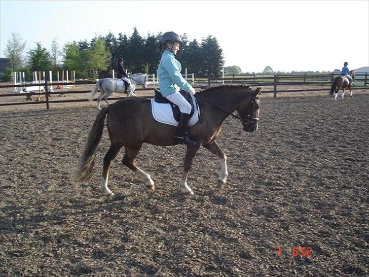 Anden særlig race cosmo de lux <3<3<3<3<3 - er på opvamnins banen i boller ;D billede 11