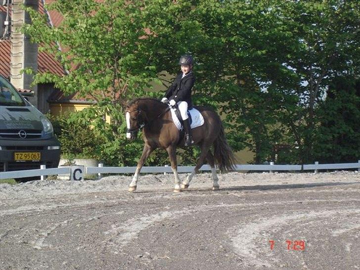 Anden særlig race cosmo de lux <3<3<3<3<3 - får ham til bidet <3<3<3<3<3<3<3<3<3<3<3
 billede 13