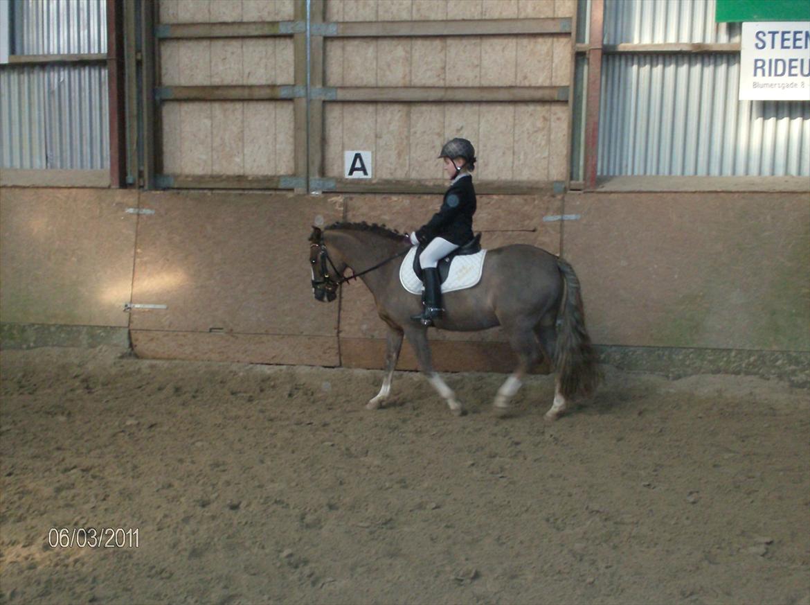 Anden særlig race cosmo de lux <3<3<3<3<3 - mit første lc stævne :) billede 14
