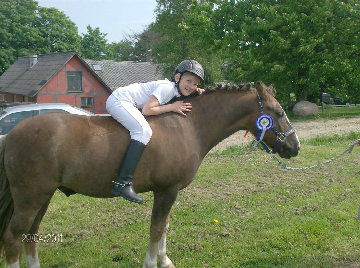 Anden særlig race cosmo de lux <3<3<3<3<3 - har lige fået en 2 plads i lc show <3<3<3 :* billede 15