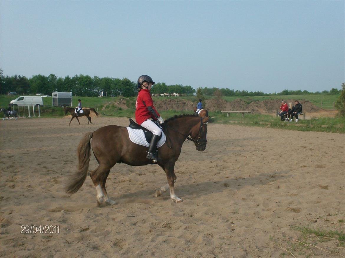 Anden særlig race cosmo de lux <3<3<3<3<3 - er på opvarmning i molger :* billede 18