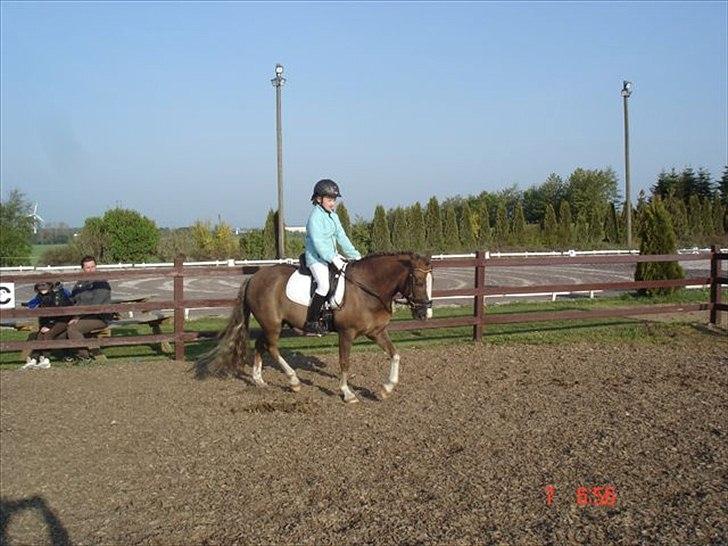 Anden særlig race cosmo de lux <3<3<3<3<3 - på opvarmning i boller <3<3<3;D billede 20