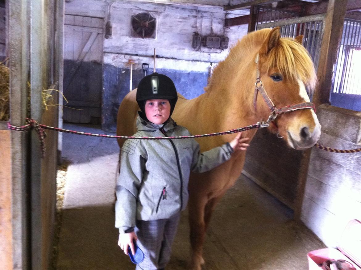 Anden særlig race Rosinni - Mit først møde med Rosinni, fik ham hjem d. 29/4-2011.
ELSKER HAM billede 1