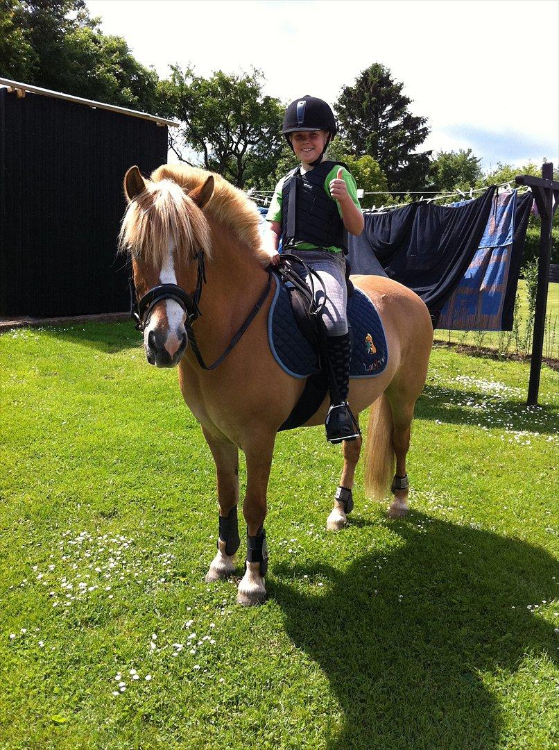 Anden særlig race Rosinni - En tur hjemme i haven. billede 2