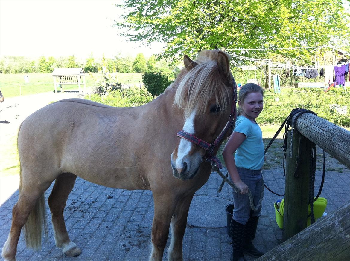 Anden særlig race Rosinni - Dejligt at blive nusset  billede 3