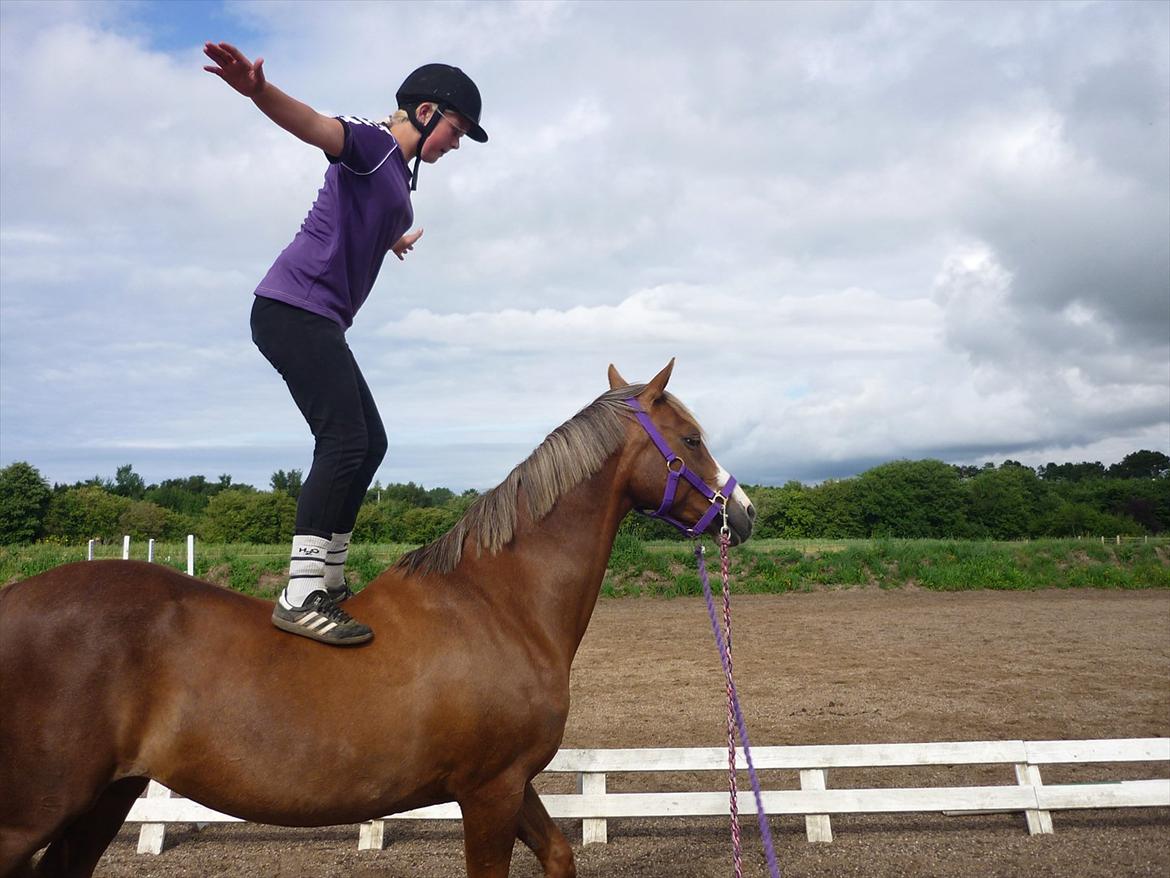 Welsh Pony (sec B) Turfhorst Pleasure<3! R.I.P min bedste ven!<3 - billede 13; her "står" jeg op på pleasure, jeg ved godt jeg ikke retter mig helt op, men whatever;)<3 (sommer 2011) ;)<3! love on you Pleasure;)<3!! 
- Du er og bliver min drømmepownie forevigt!<3
 billede 13