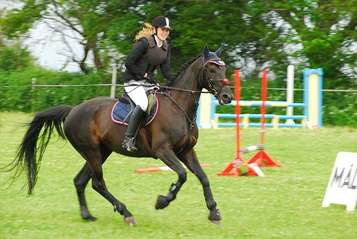 Oldenborg Honey billede 6