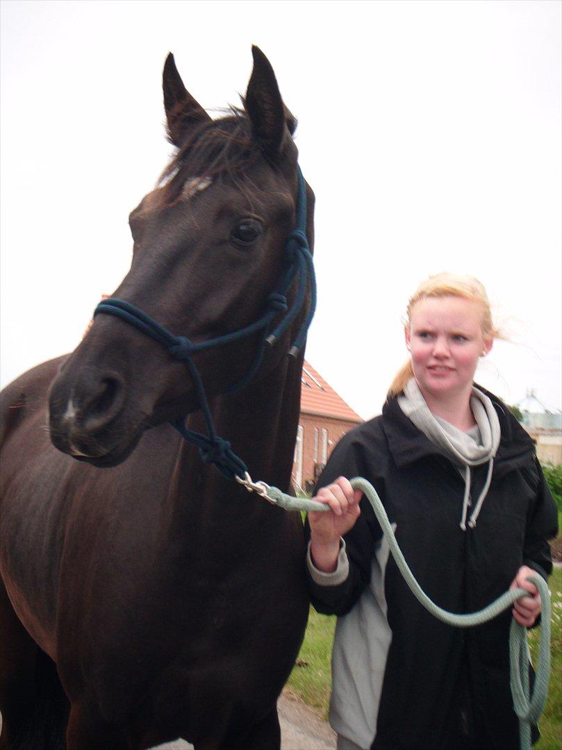 Oldenborg Sokhøjs Felix billede 1