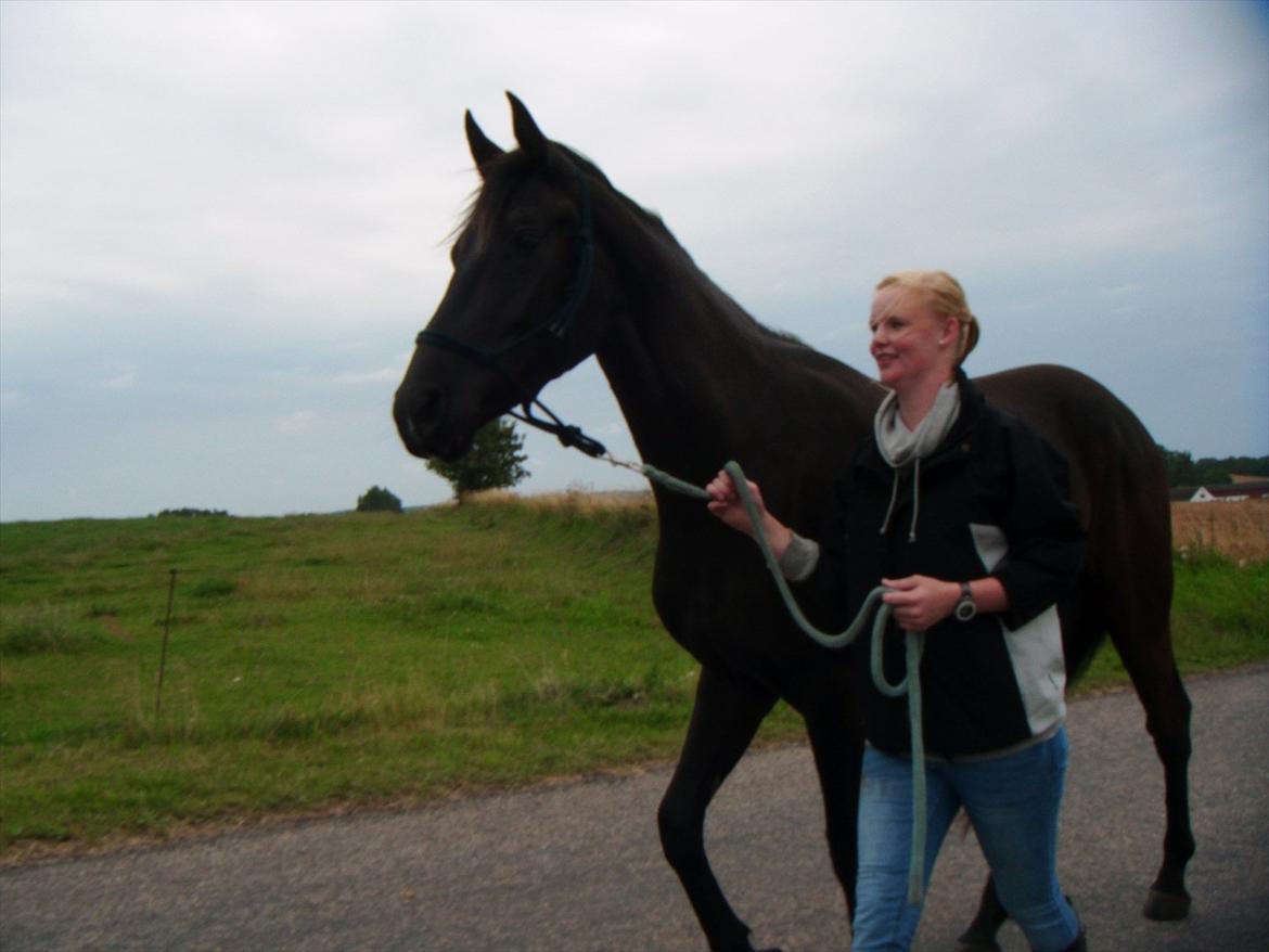 Oldenborg Sokhøjs Felix billede 3