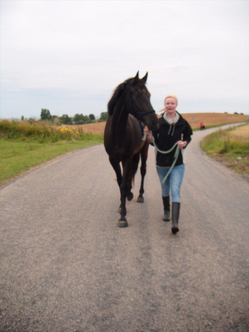 Oldenborg Sokhøjs Felix billede 4