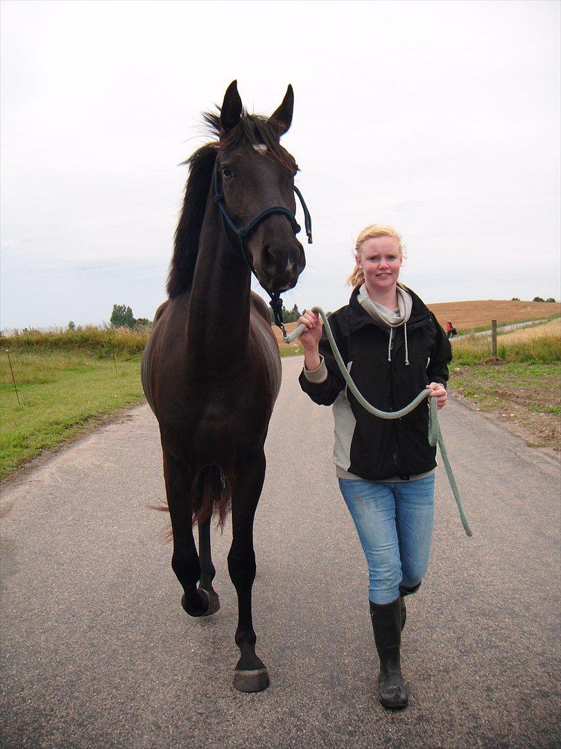 Oldenborg Sokhøjs Felix billede 5