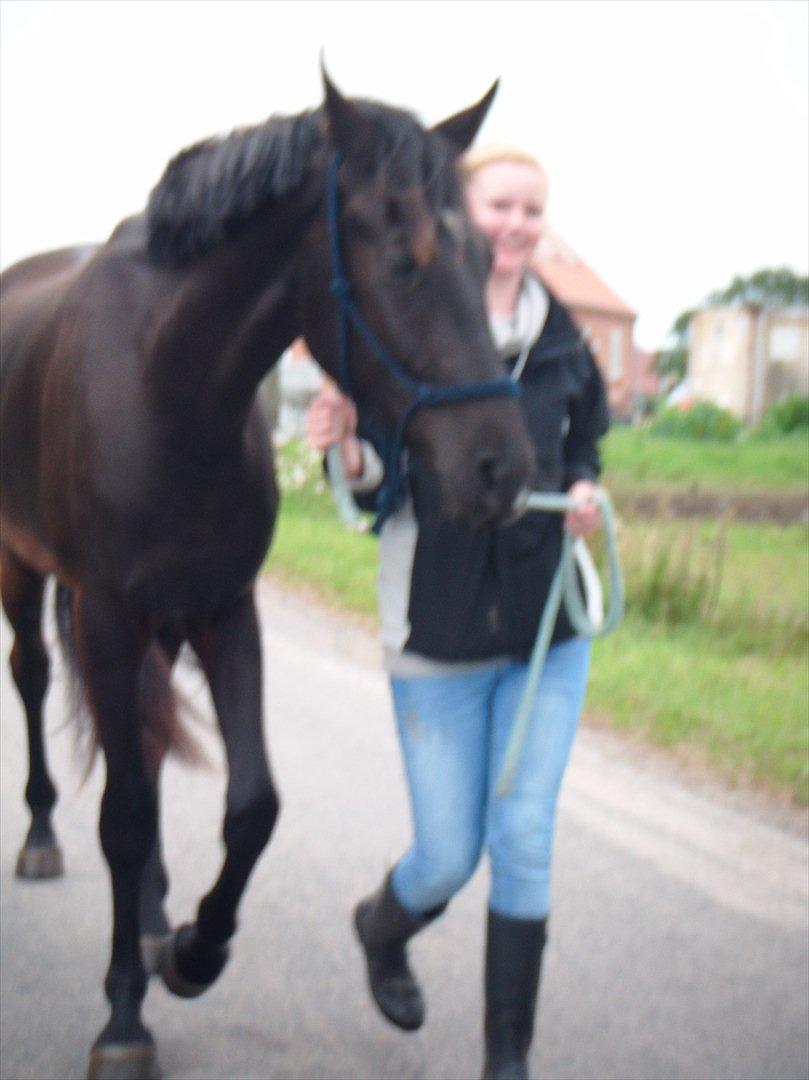 Oldenborg Sokhøjs Felix billede 6