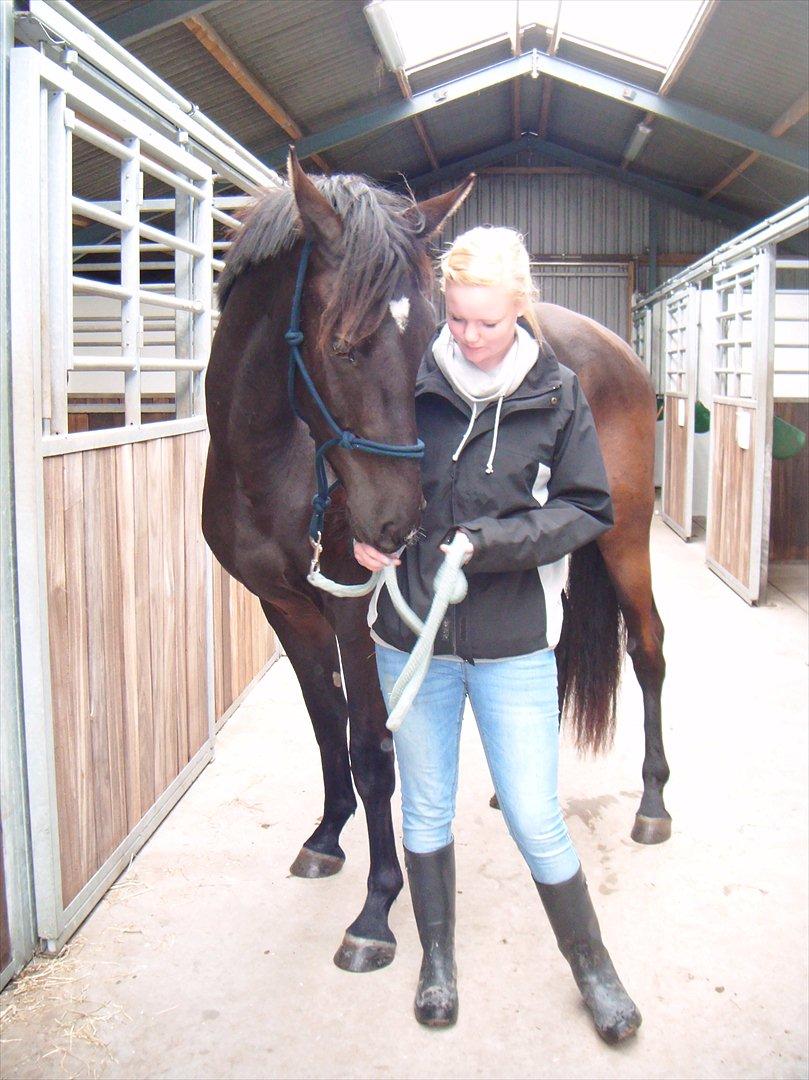 Oldenborg Sokhøjs Felix - På Sokhøj, inden han måtte komme med hjem. billede 7