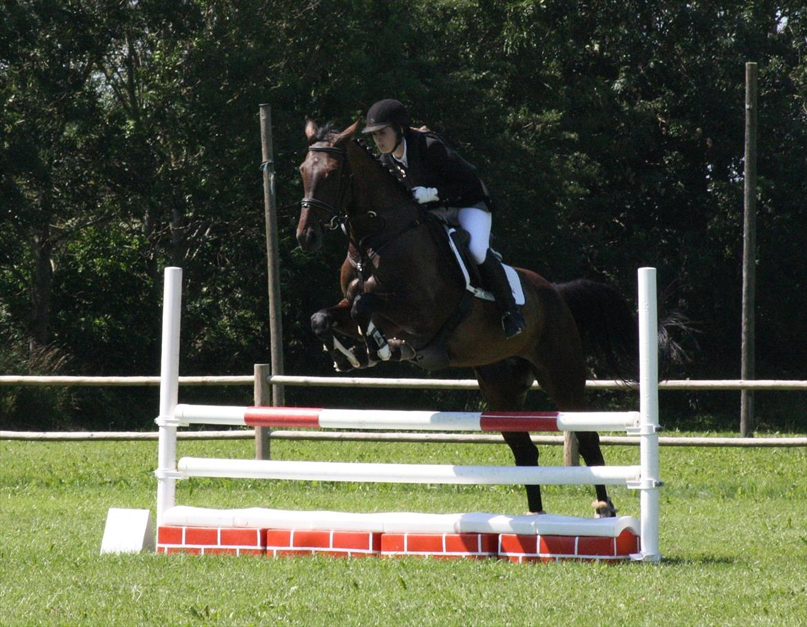Holstener Enghøjs Minuet - Første stævne d. 16/7-11. LC billede 17