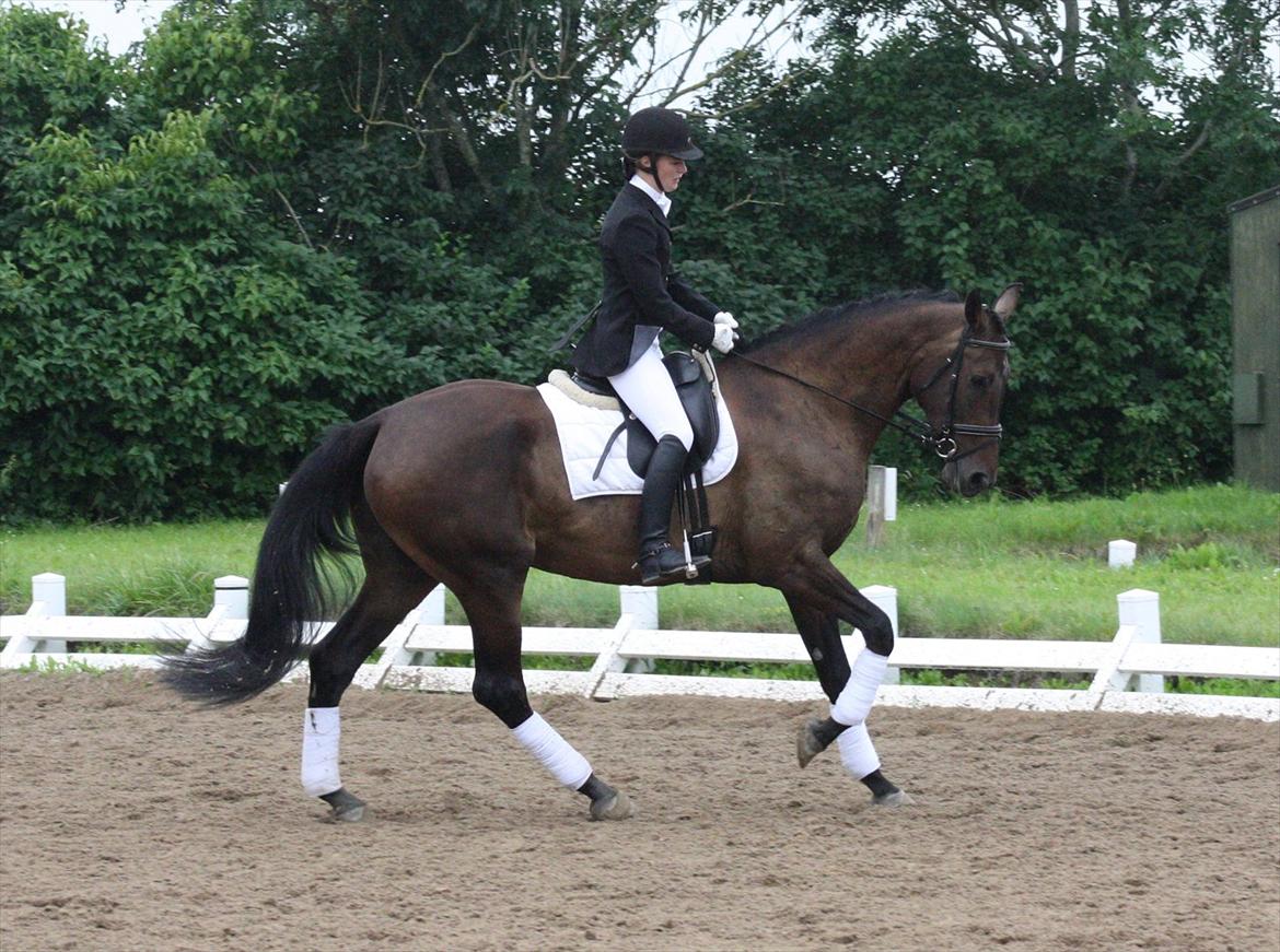 Holstener Enghøjs Minuet - Første stævne billede 18