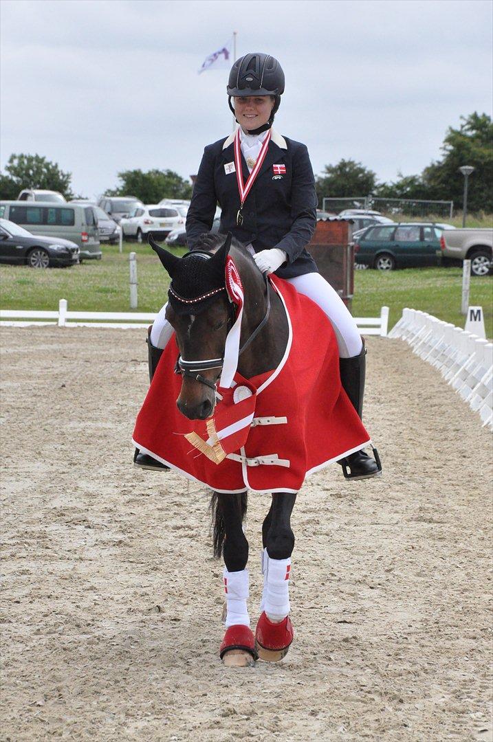 Tysk Sportspony SL Lucci - Guld til nordisk mesterskab 2011! billede 20