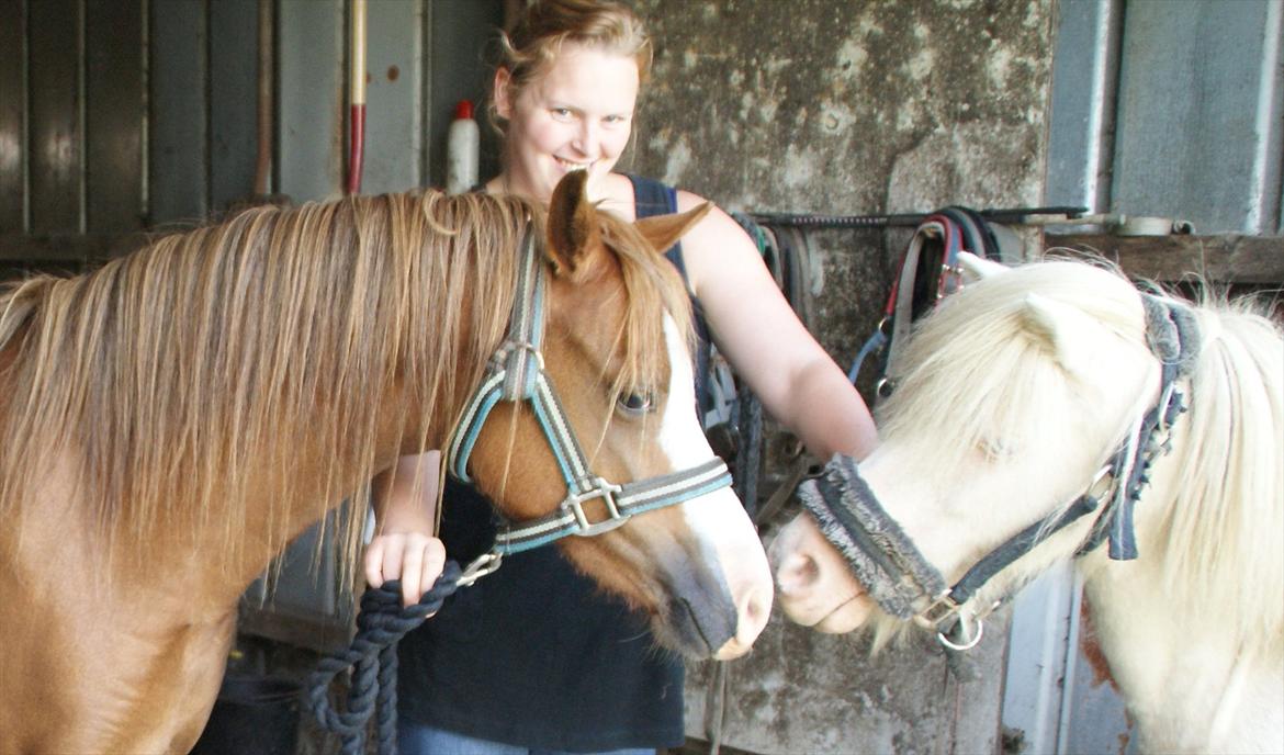 Anden særlig race Perle - Min nye veninde Caya's Angel.. :) billede 6