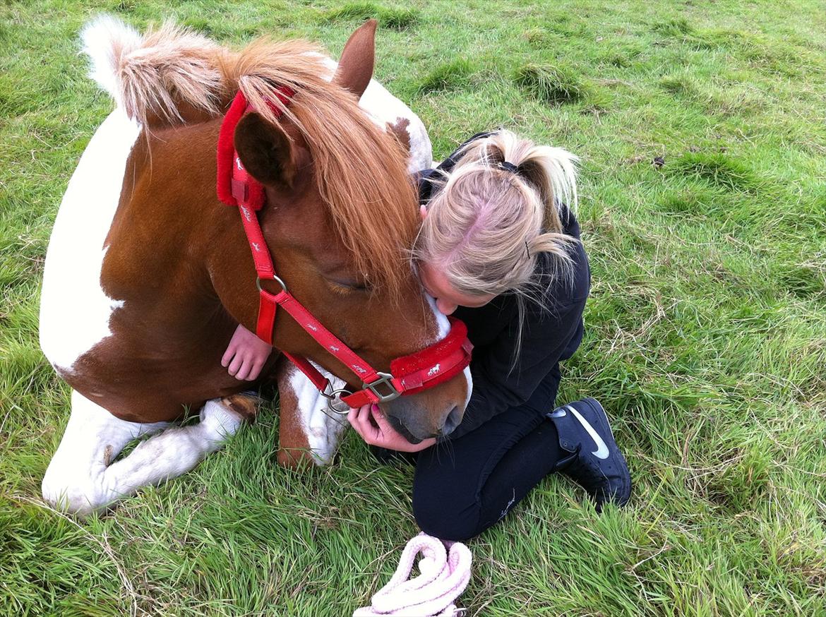 Anden særlig race Painted Beauty SOLGT - - hygge på folden med min dejlige pony ;) billede 14
