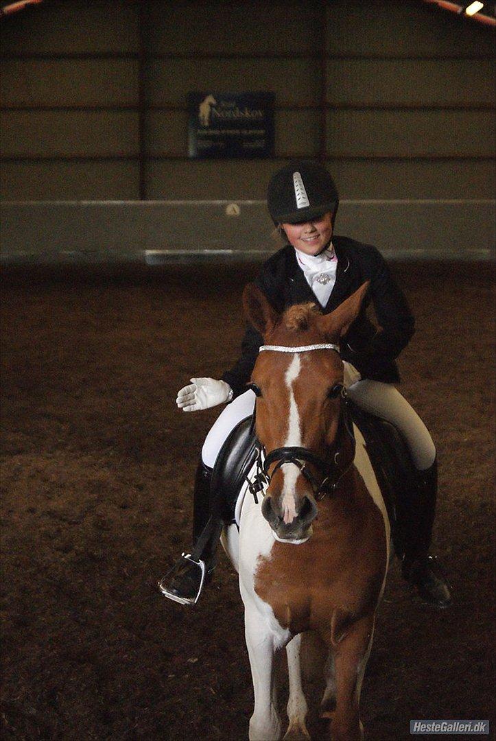 Anden særlig race Painted Beauty SOLGT - - en stolt pony ejer!!! :) billede 19