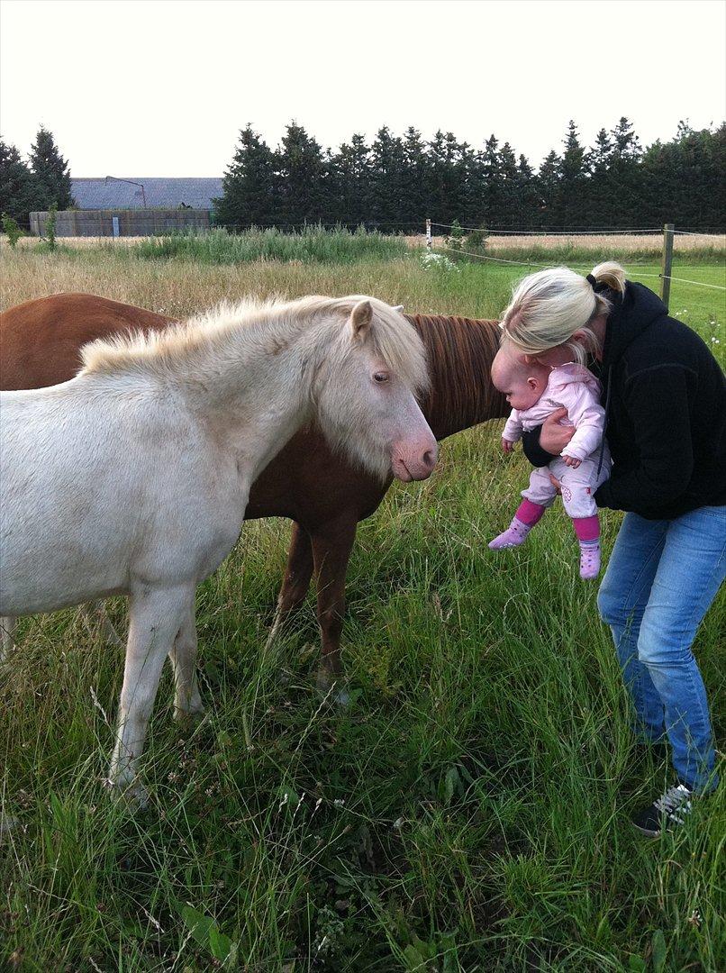 Anden særlig race Perle - Min yngste ejer-pige Tia og hendes mor Majbrit hilser lige på.. <3 billede 13