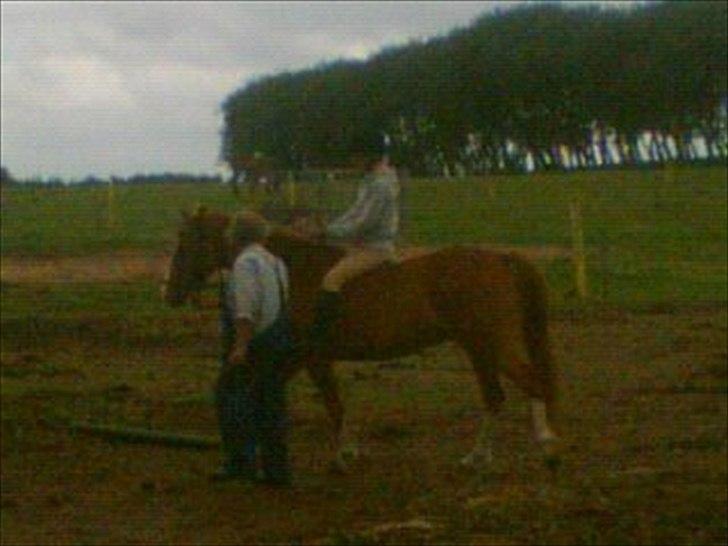 Anden særlig race Aros »Stjernen! - # 3; min første tur på ham i 2 år :i billede 3