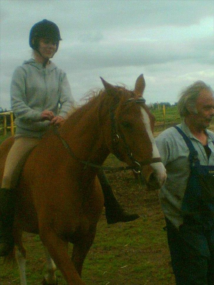 Anden særlig race Aros »Stjernen! - # 4; min første tur på ham i 2 år. :i billede 4