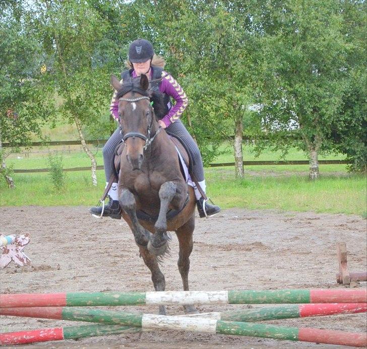 Anden særlig race Zatin - Låner! d:<3 billede 1