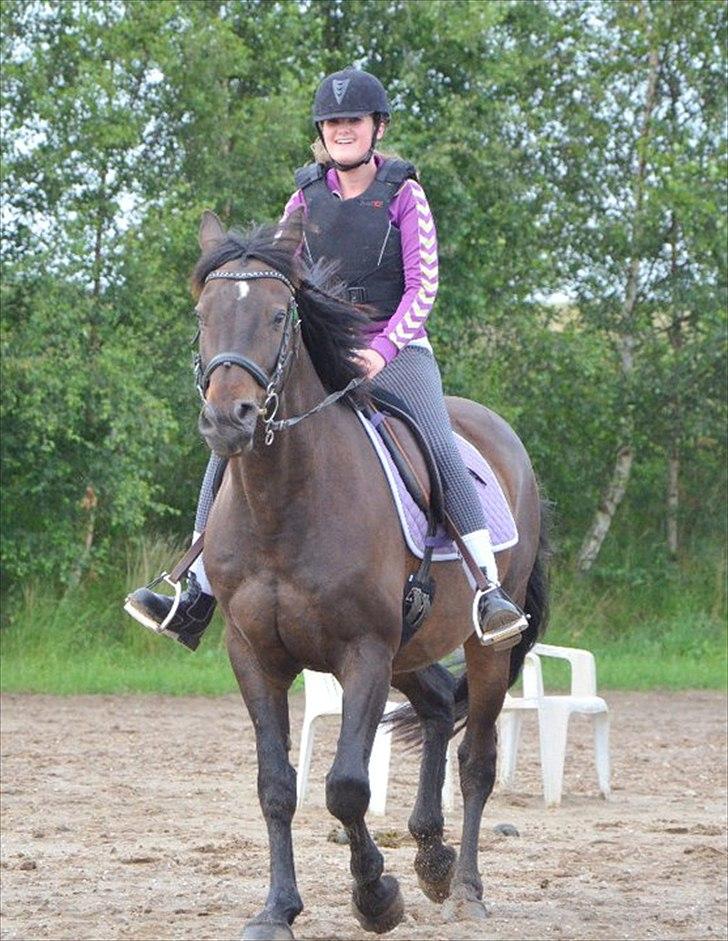 Anden særlig race Zatin - Låner! d:<3 billede 2