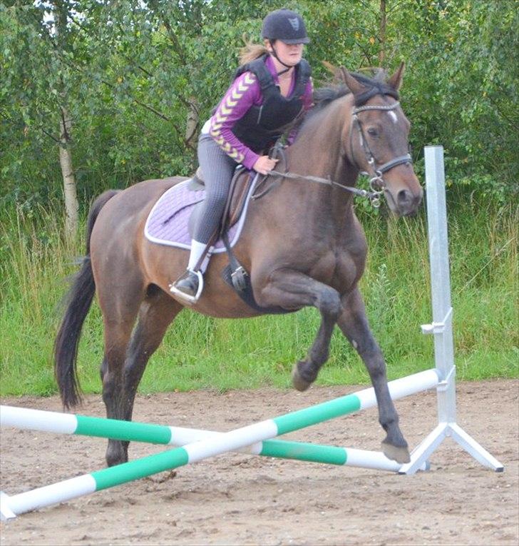 Anden særlig race Zatin - Låner! d:<3 billede 3